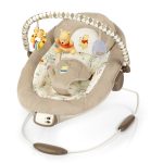 Winnie The Pooh Bouncer For the Kids Room